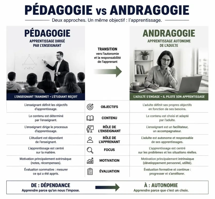 Tableau comparatif andragogie vs pédagogie pour la formation des adultes